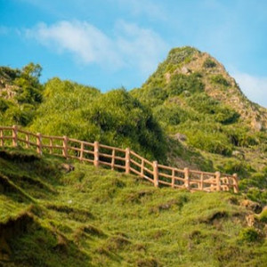 午夜寻花极品在线观看
